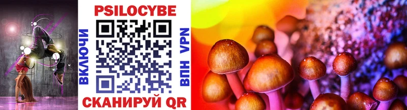 Псилоцибиновые грибы Psilocybine cubensis  Далматово 